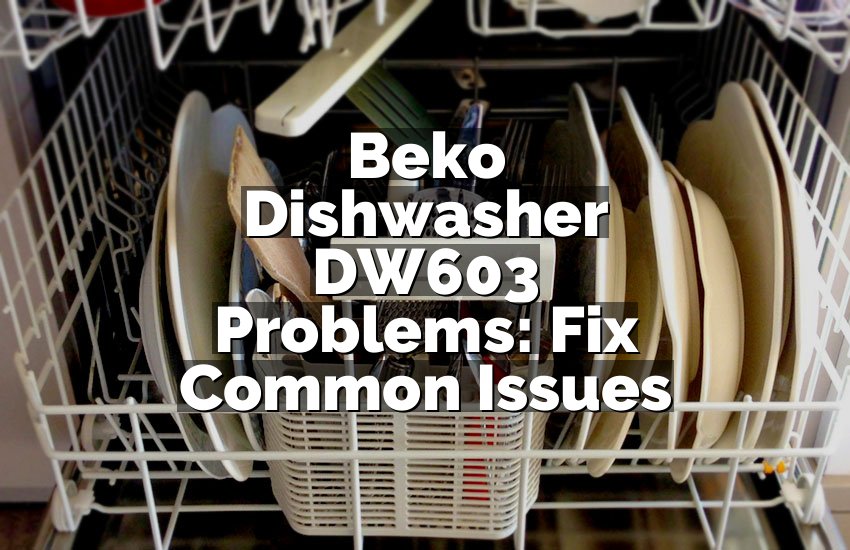 Beko Dishwasher DW603 Problems: Fix Common Issues