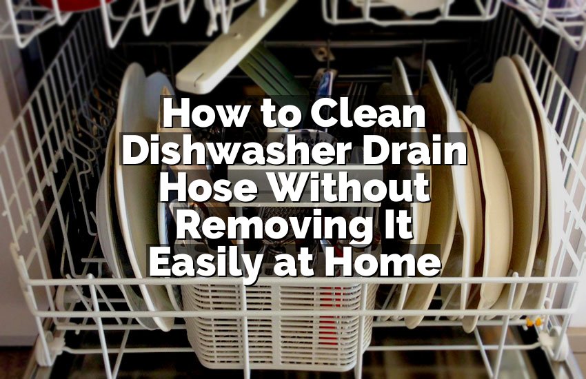 How to Clean Dishwasher Drain Hose Without Removing It Easily at Home