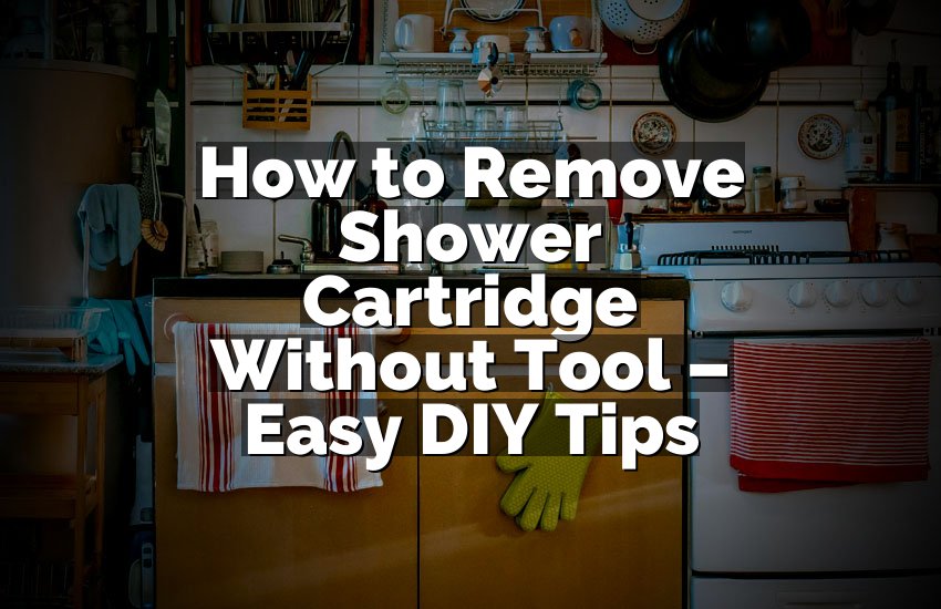 How to Remove Shower Cartridge Without Tool – Easy DIY Tips