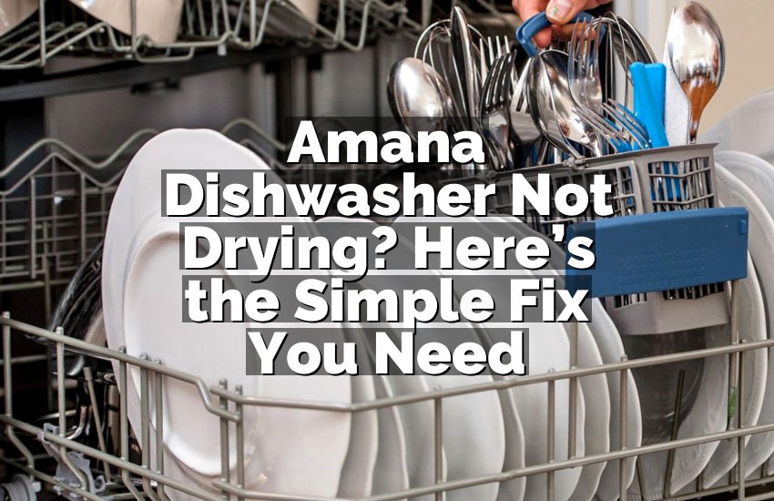 Amana Dishwasher Not Drying? Here’s the Simple Fix You Need