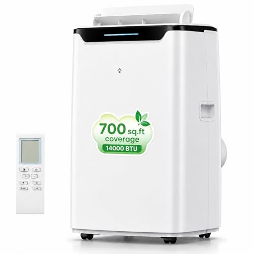 best air conditioner for living room